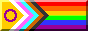 Incluse pride flag button